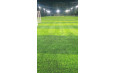 Super Sports Park - St Francis, Borivali