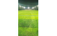 Super Sports Park - St Francis, Borivali