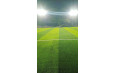 Super Sports Park - St Francis, Borivali